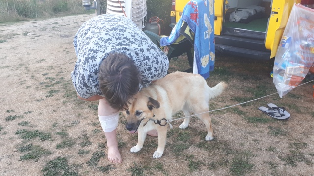 ../fotos/het_verlaat_2018/2018-08-03 20.18.27.jpg